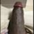 FREE porn pictures and short videos of biggblack in United States