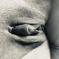 See hungryclit naked photo and video